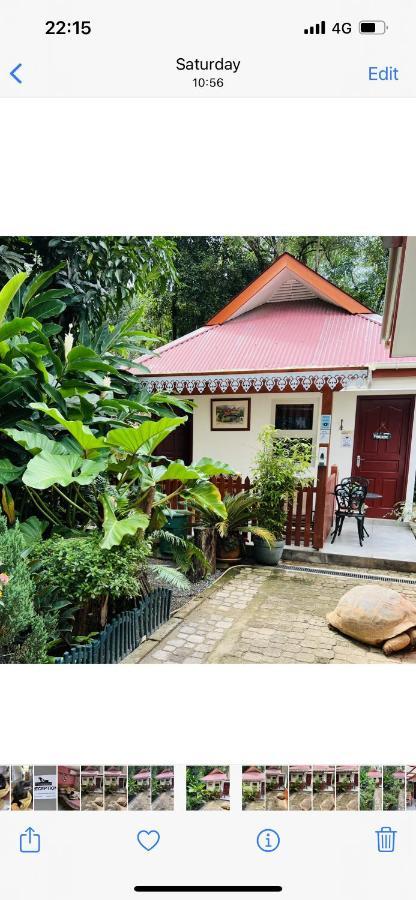 Garden Hut Apartment Victoria Bagian luar foto