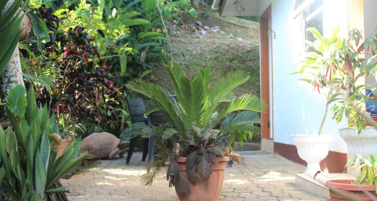 Garden Hut Apartment Victoria Bagian luar foto