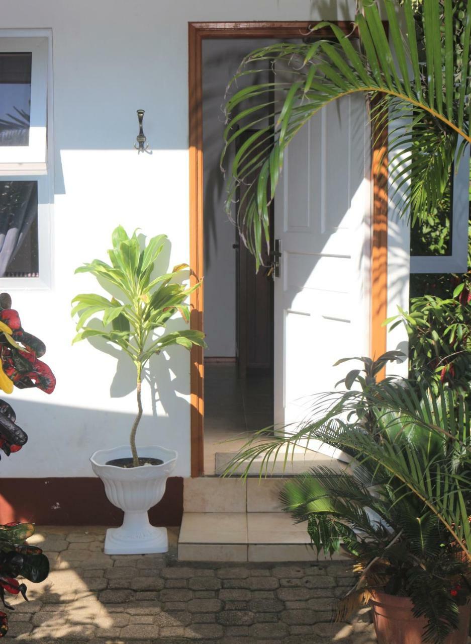 Garden Hut Apartment Victoria Bagian luar foto